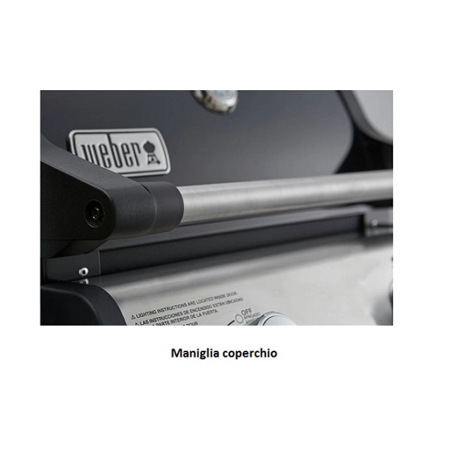 Vendita online Barbecue a gas Weber Spirit E-325 GBS